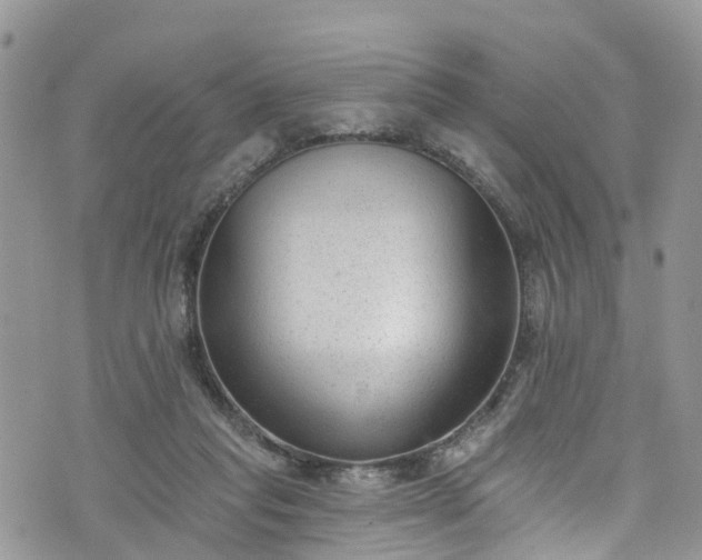 X0000076400261200610161212