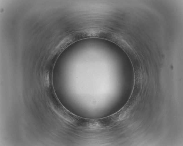 X0000076400262200610161212