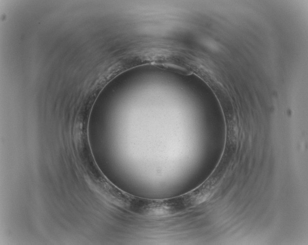 X0000076400263200610161212