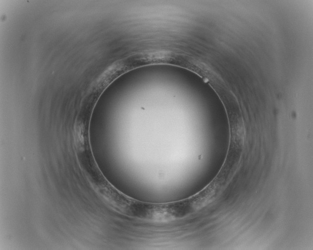 X0000076400264200610161212