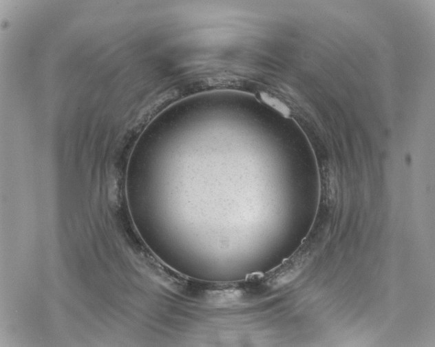 X0000076400266200610161212