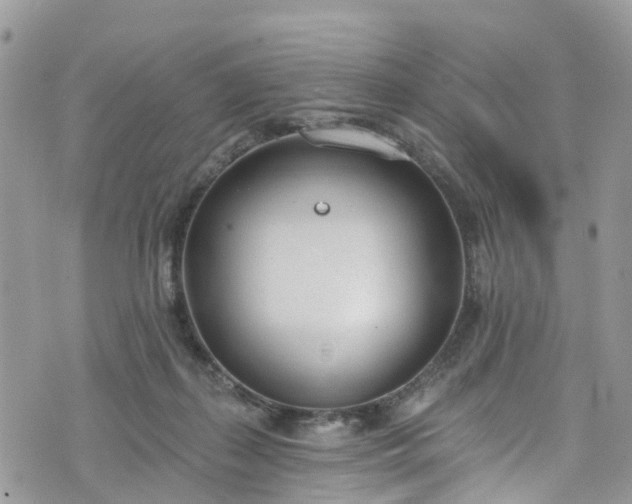 X0000076400267200610161212