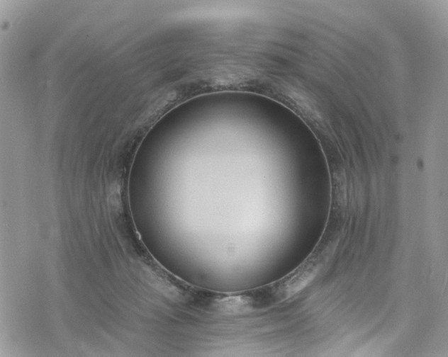 X0000076400269200610161212