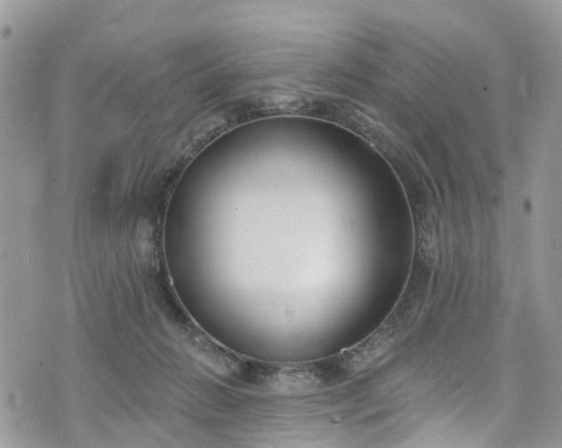 X0000076400270200610161212