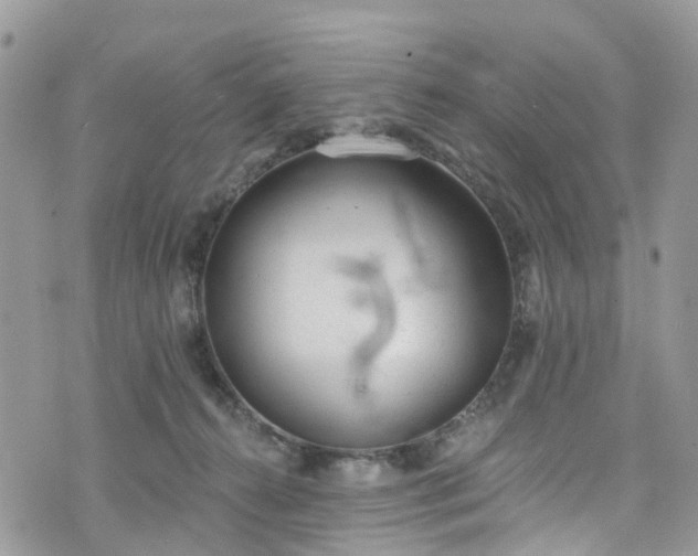 X0000076400272200610161212