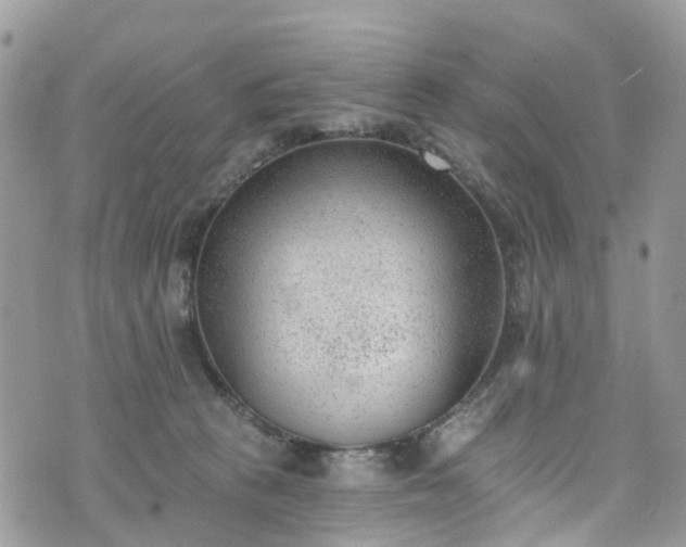 X0000076400273200610161212