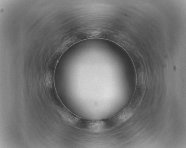 X0000076400274200610161212