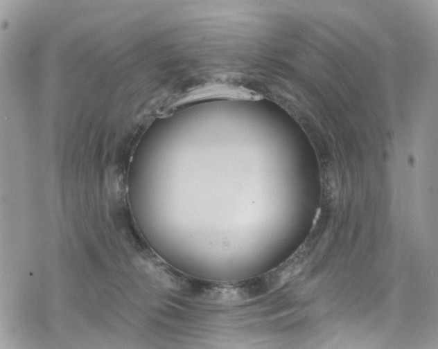 X0000076400276200610161212