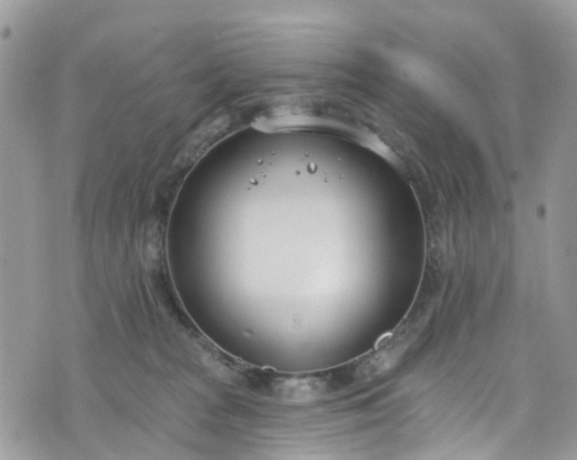 X0000076400277200610161213