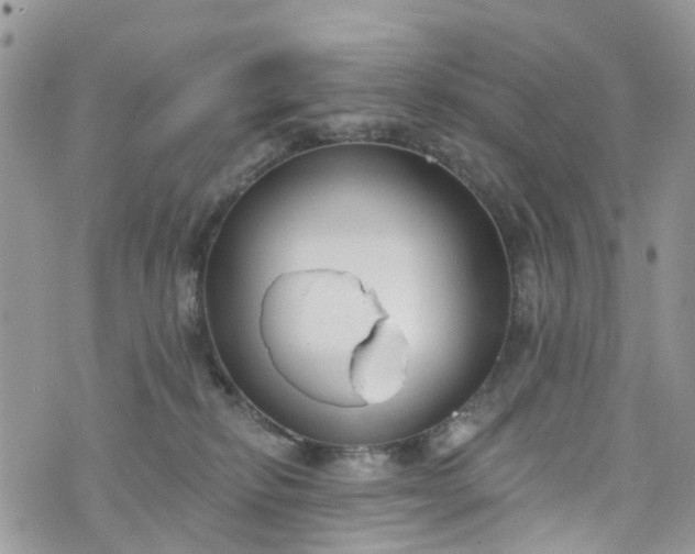 X0000076400278200610161213