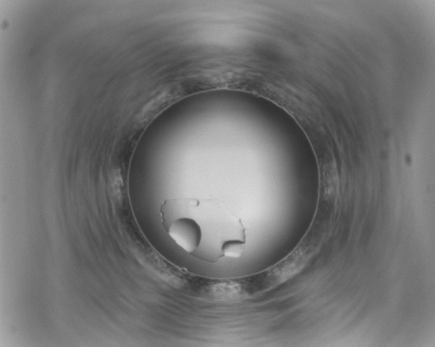 X0000076400279200610161213