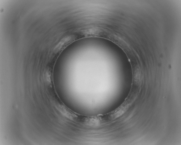 X0000076400282200610161213