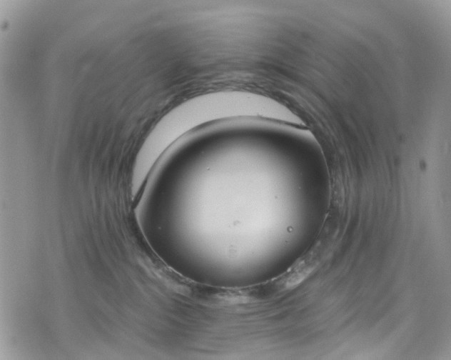 X0000076400284200610161213