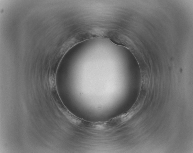 X0000076400285200610161213