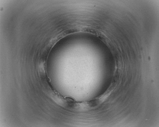 X0000076400286200610161213