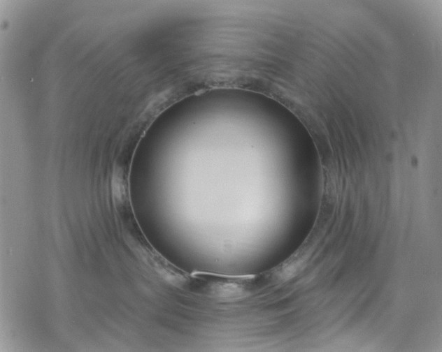 X0000076400287200610161213