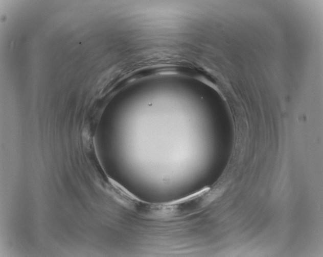 X0000076400288200610161213