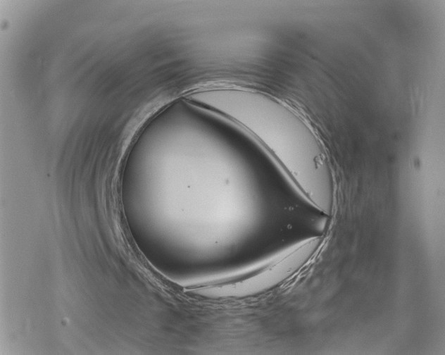 X0000076400289200610161212