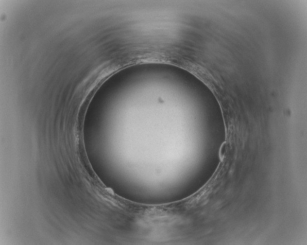 X0000076400290200610161212