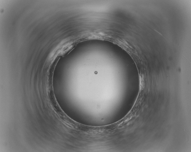 X0000076400291200610161212