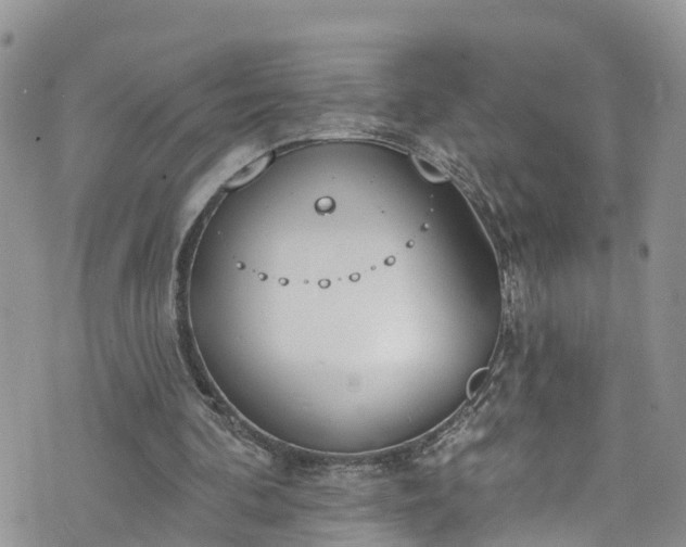 X0000076400292200610161212