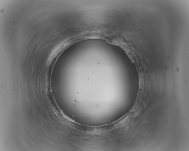 X0000076400293200610161212