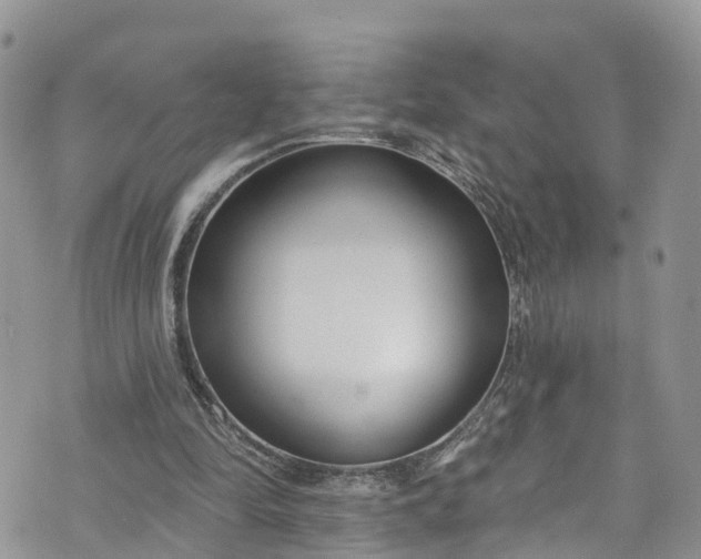 X0000076400294200610161212