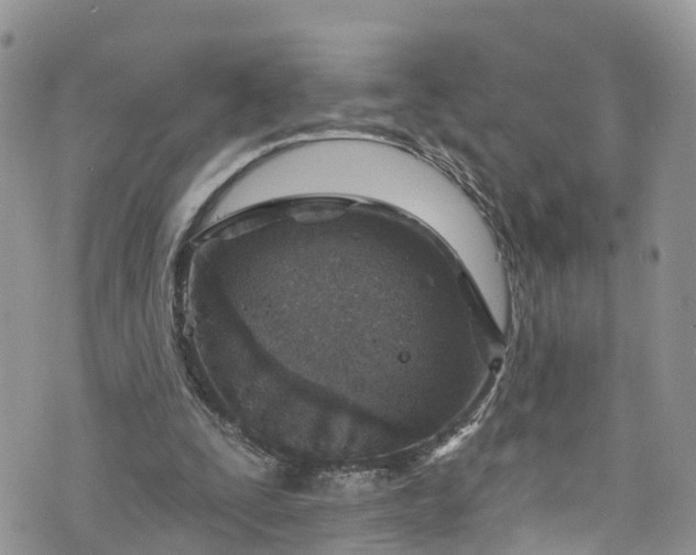 X0000076400295200610161212