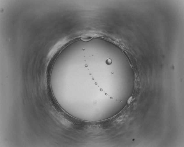 X0000076400296200610161212