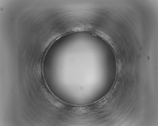 X0000076400297200610161212