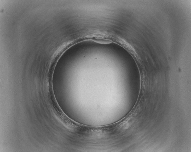 X0000076400298200610161212