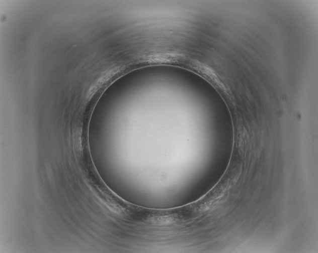 X0000076400299200610161212