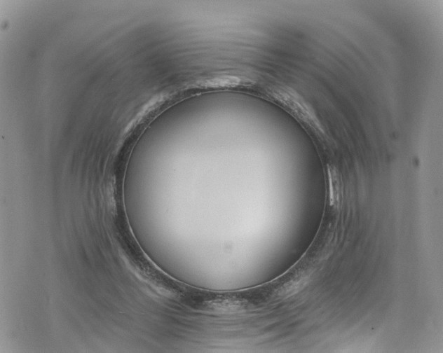 X0000076400300200610161212