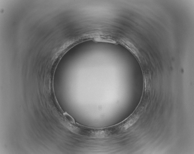 X0000076400301200610161212