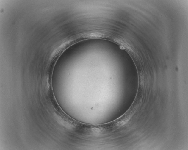 X0000076400302200610161212