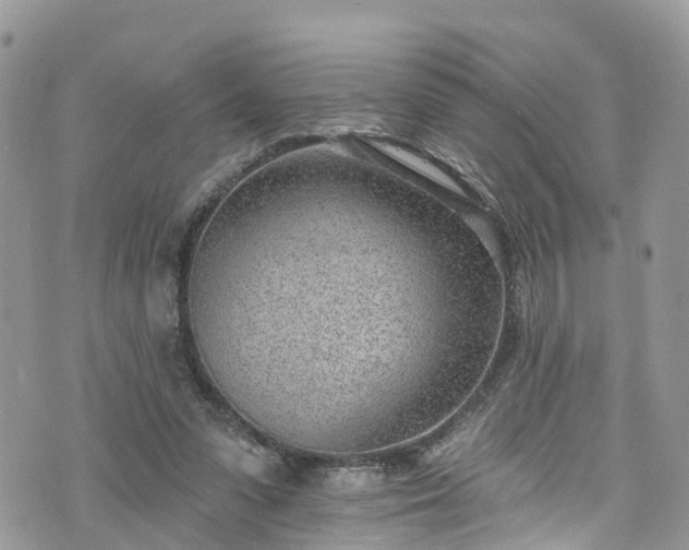 X0000076400303200610161212