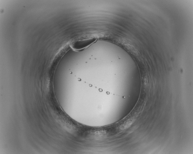 X0000076400304200610161212