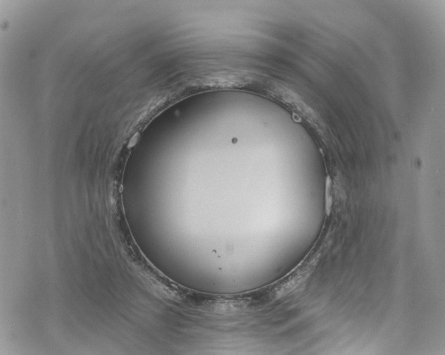 X0000076400305200610161212