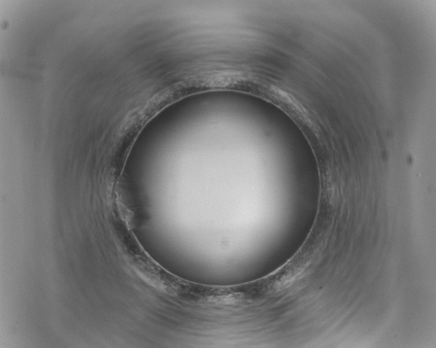 X0000076400307200610161212