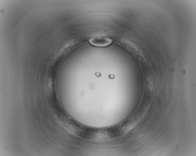 X0000076400308200610161212