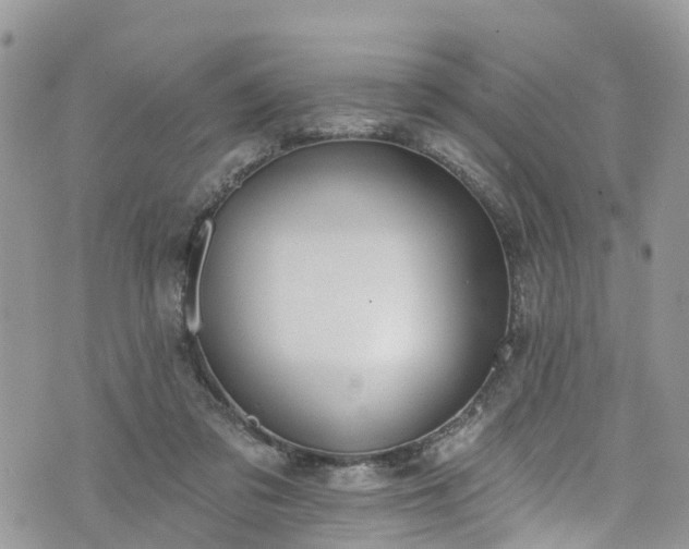 X0000076400309200610161212