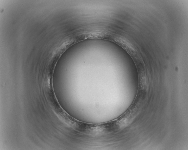 X0000076400310200610161212