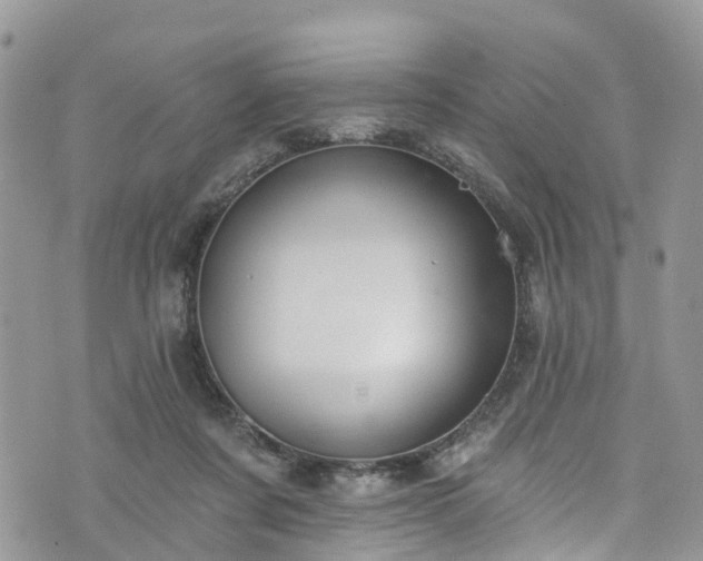 X0000076400311200610161212