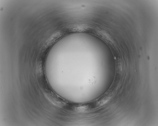 X0000076400312200610161212