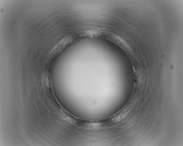 X0000076400313200610161212