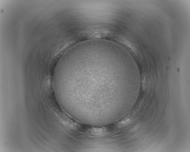 X0000076400314200610161211