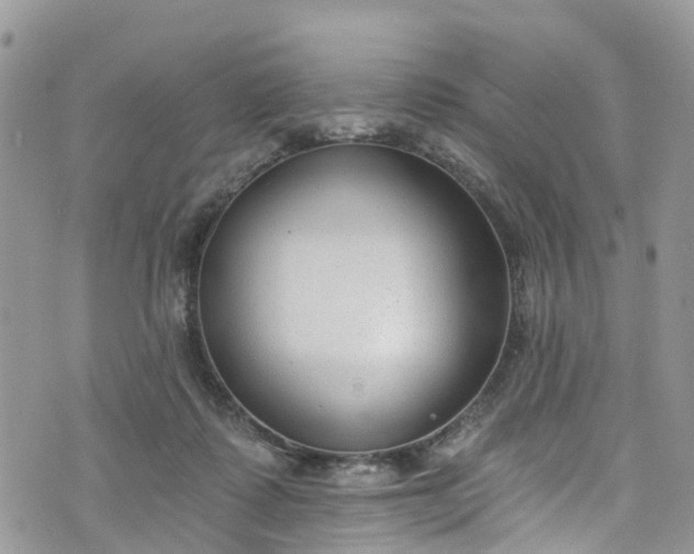 X0000076400315200610161211