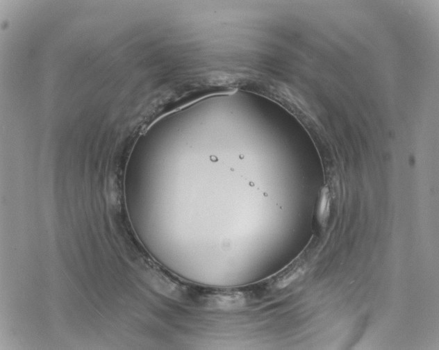 X0000076400317200610161211