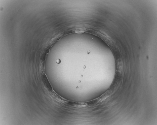 X0000076400318200610161211