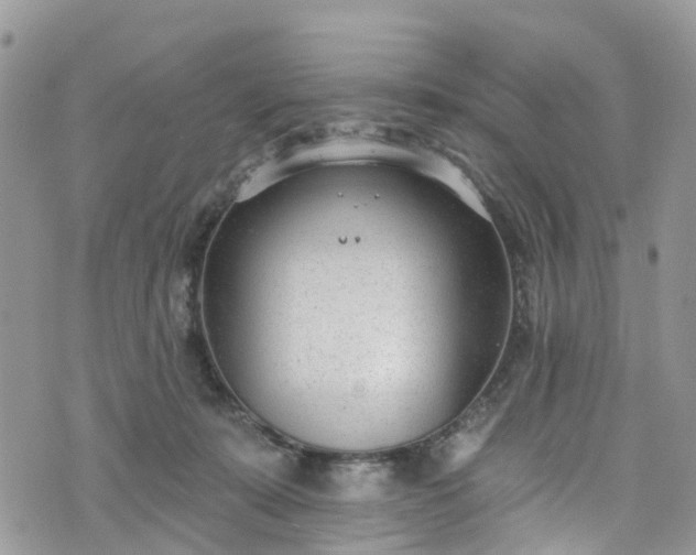 X0000076400319200610161211